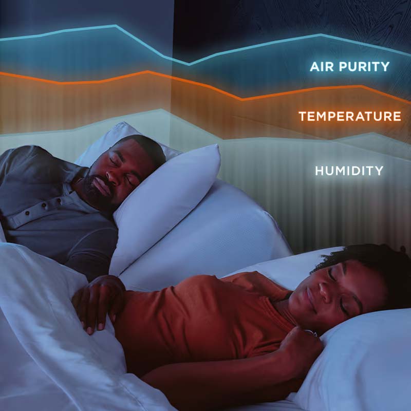 Tempur Ergo ProSmart Base